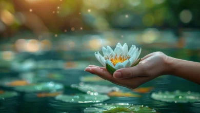 آموزش موثر و کارآمد تاب‌ آوری