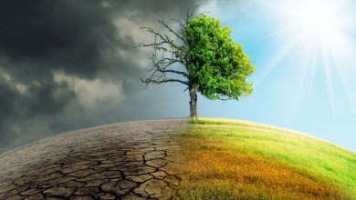 آموزش تاب‌ آوری: کلید پایداری بهبودی برای معتادین