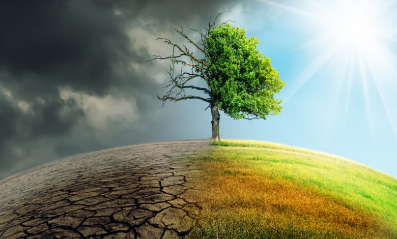 آموزش تاب آوری: کلید پایداری بهبودی برای معتادین
