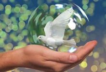 از شعار تا عمل: رویای صلح و دگردوستی و ظهور موج سوم در مددکاری اجتماعی ایران