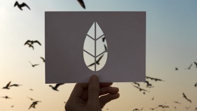 تاب‌آوری فرهنگی در برابر تغییرات سریع سبک زندگی