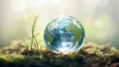 زیست باکیفیت و همبستگی در عصر دیجیتال