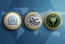 شبکه رسانه‌ای مددکاری اجتماعی ایرانیان