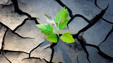 خانه تاب آوری برای ایرانیان